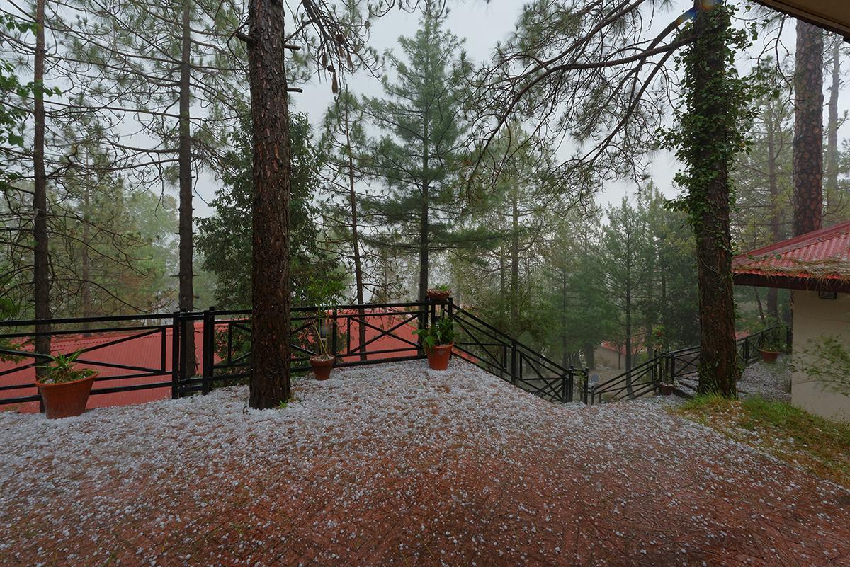 Arcadian Blue Pines Hotell Murree Exteriör bild