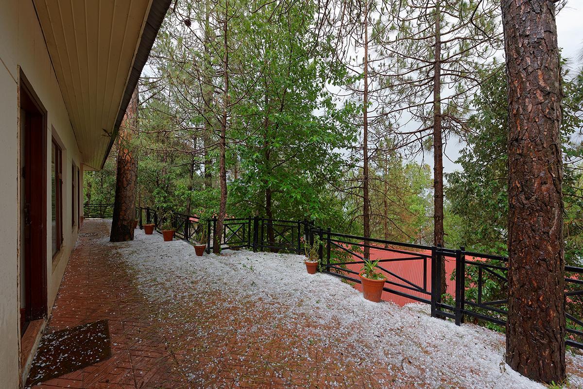 Arcadian Blue Pines Hotell Murree Exteriör bild